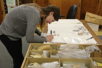 A student working to rehouse the artifacts