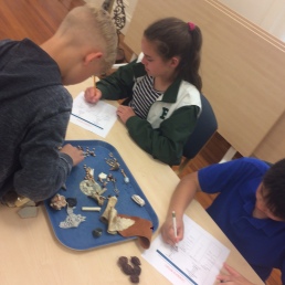 Students working in the "lab" to identify artifacts found from the mock Katherine Nanny Naylor site